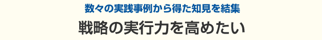 数々の実践事例から得た知見を結集戦略の実行力を高めたい