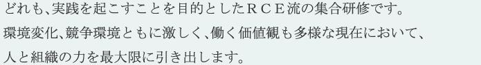 どれも、実践を起こすことを目的としたＲＣＥ流の集合研修です。環境変化、競争環境ともに激しく、働く価値観も多様な現在において、人と組織の力を最大限に引き出します。