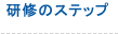 研修のステップ
