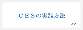ＣＥＳの実践方法