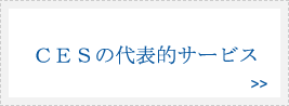 ＣＥＳの代表的サービス
